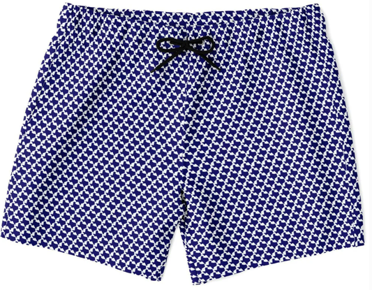 Texas Flag Swim Trunks | Texas State Outline Swimsuit